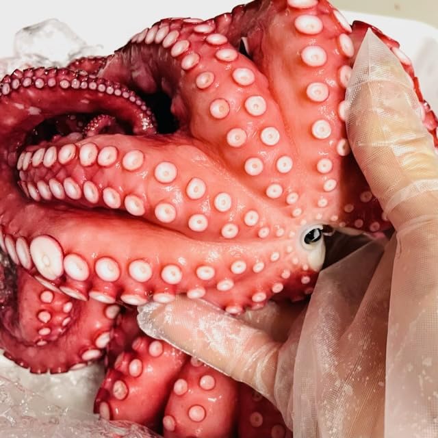 Amazon.co.jp: 真蛸 冷凍たこ (ボイル済み)1杯(約400g) 【生食用・刺身